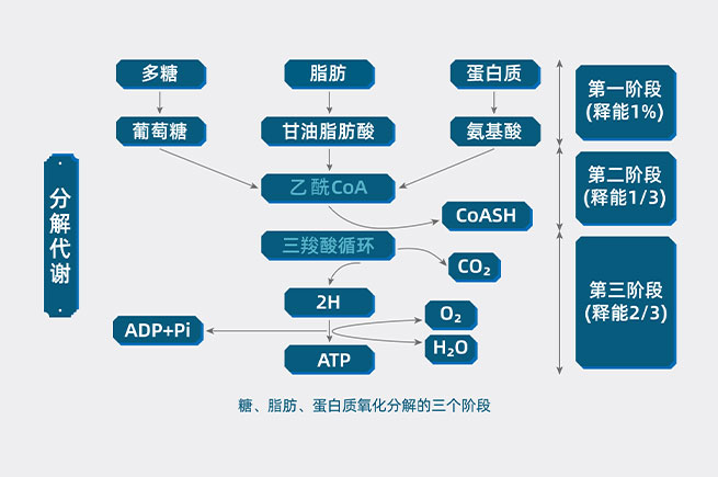 &#30343;&#20896;
