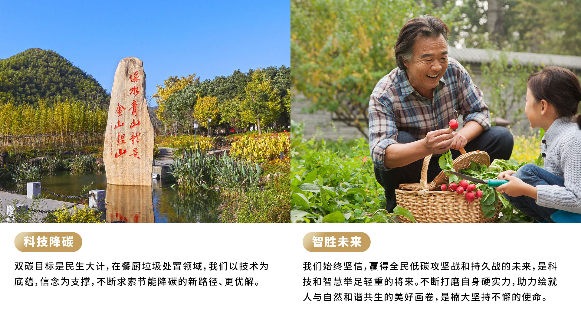 &#30343;&#20896;