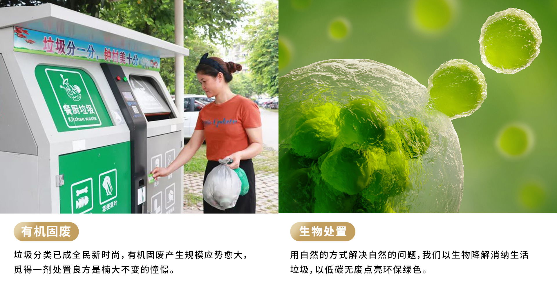 &#30343;&#20896;